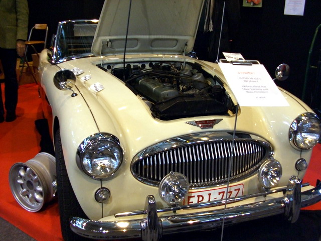 austin healey-2.pg.jpg