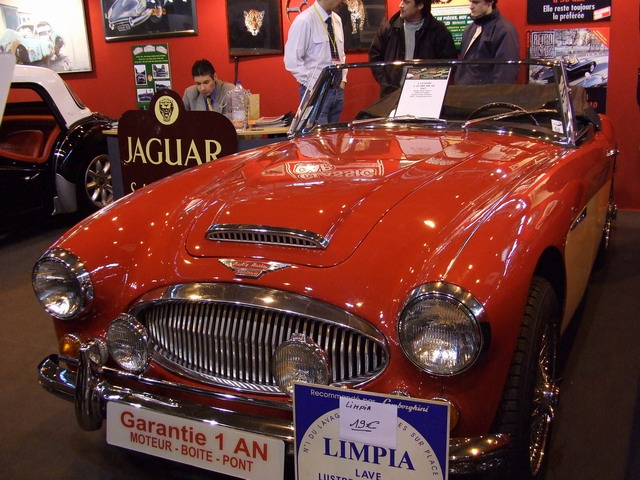 austin healey.jpg