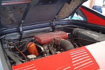 DSC01837.JPG