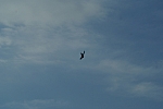 DSC02022.JPG