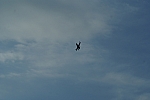 DSC02023.JPG