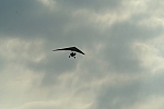 DSC02062.JPG