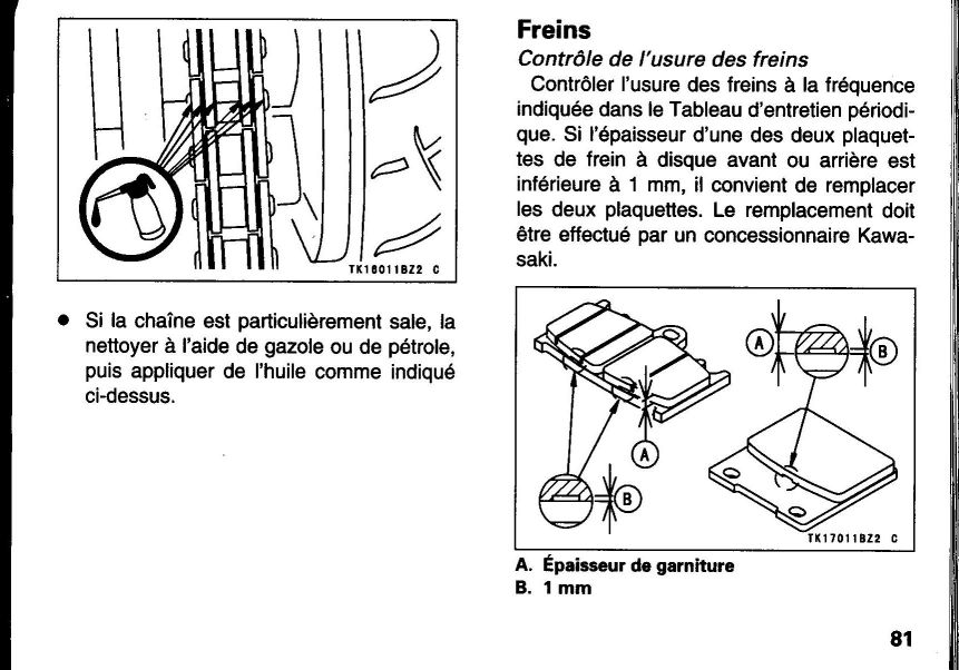 Pag 81.jpg